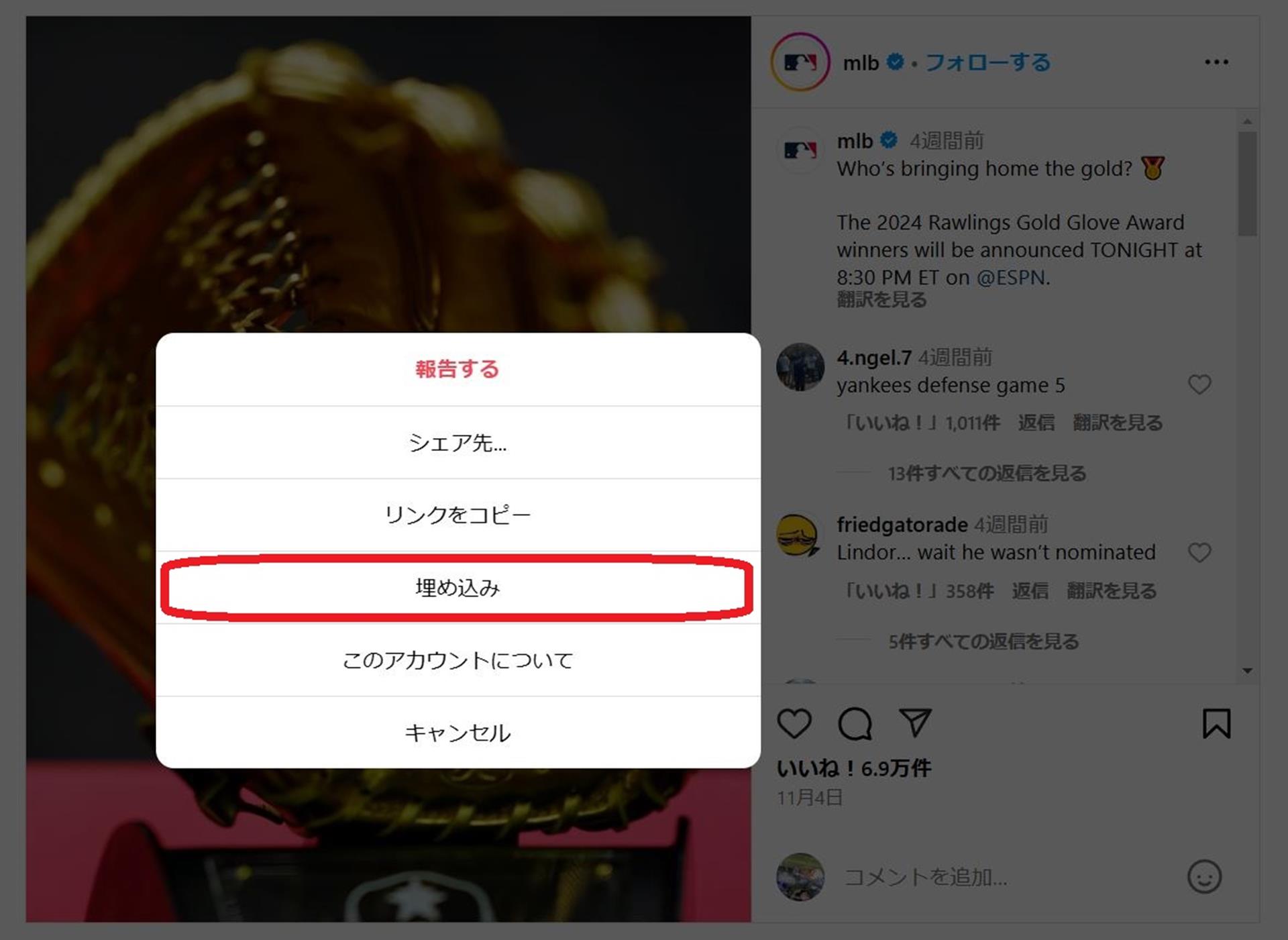 Cocoonでインスタグラムの埋め込みをする方法