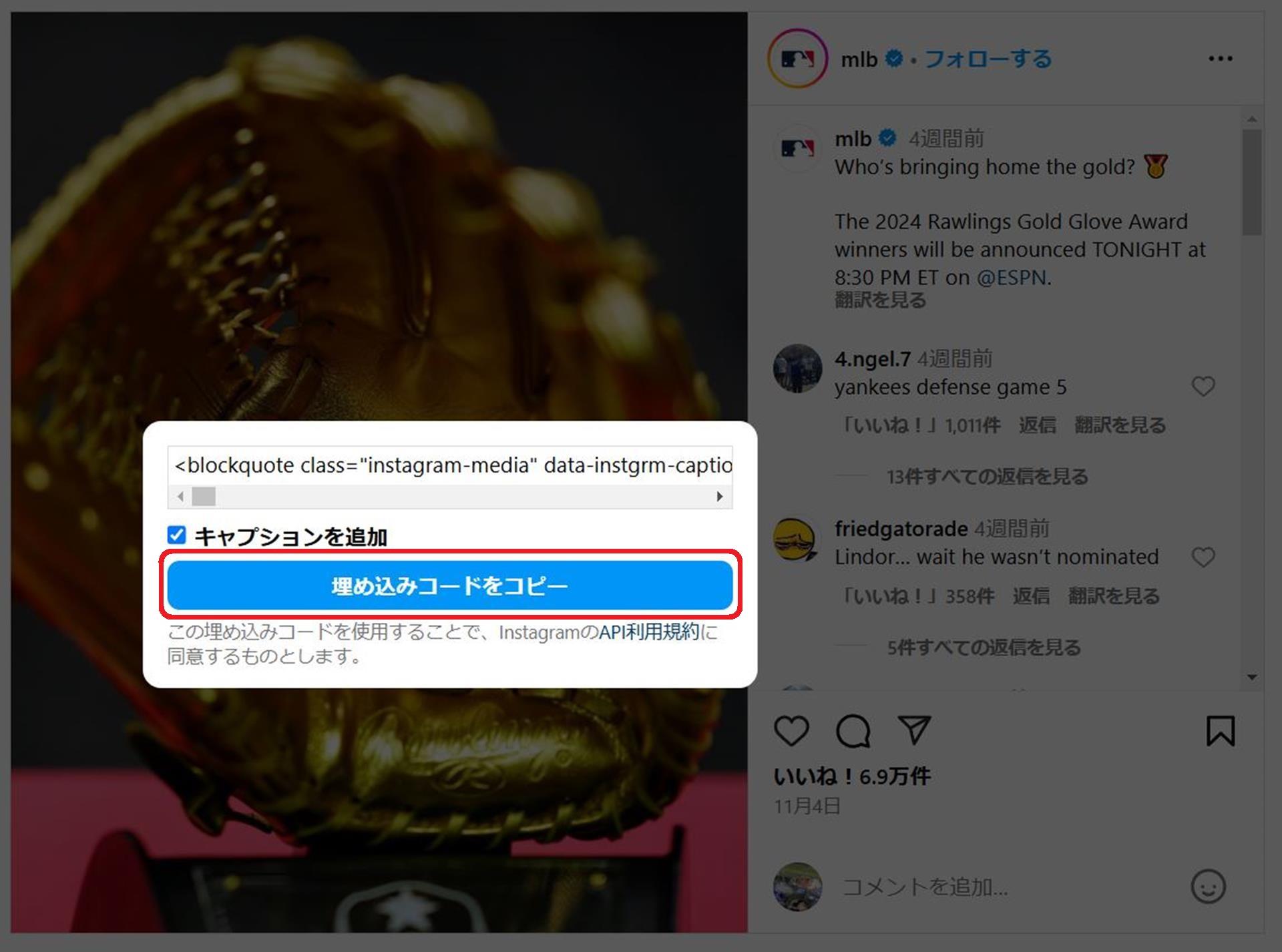 Cocoonでインスタグラムの埋め込みをする方法