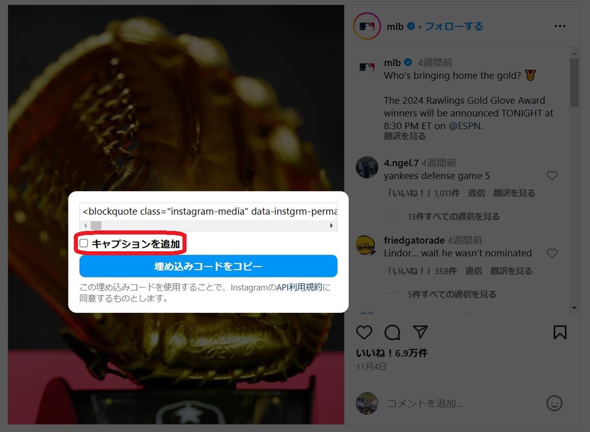 Cocoonでインスタグラムの埋め込みをする方法